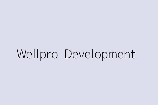 Wellpro  Development 